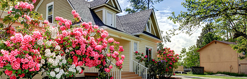 Spring Maintenance Guide for Austin, TX Homeowners: HVAC & Plumbing Essentials