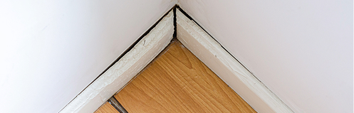 Floorboards separating from the wall