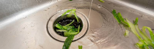Leafy greens in a garbage disposal